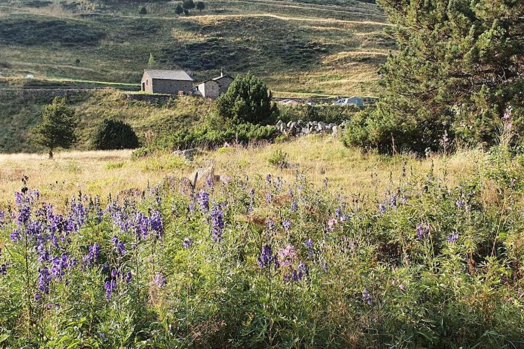 Acollidor estudi amb encant nòrdic i amb parquing, al costat de Grandvalira Canillo Exterior foto